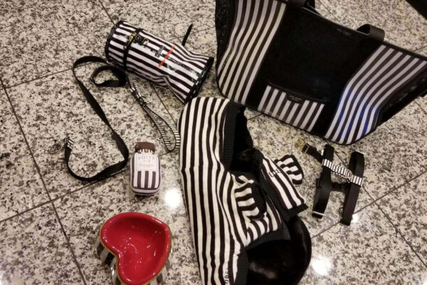 Start-up kit to adopt a puppy