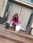 Apple Harvest Cake Recipe